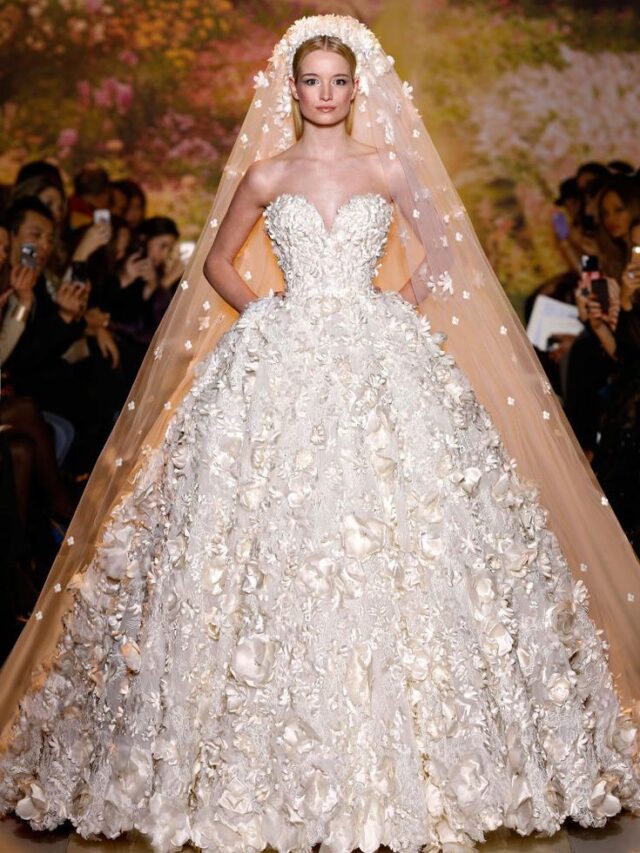 Top 10 Most Expensive and Beautiful Dresses In The World 2023