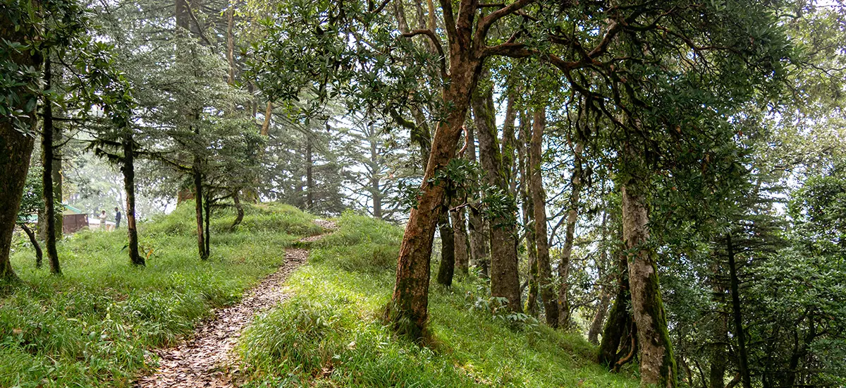 Nainital me Ghumne ki Jagah